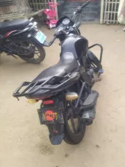 Zaara 100